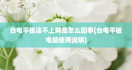 台电平板连不上网是怎么回事(台电平板电脑使用说明)