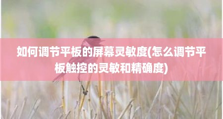 如何调节平板的屏幕灵敏度(怎么调节平板触控的灵敏和精确度)
