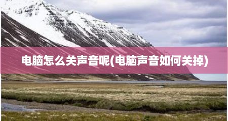 电脑怎么关声音呢(电脑声音如何关掉)
