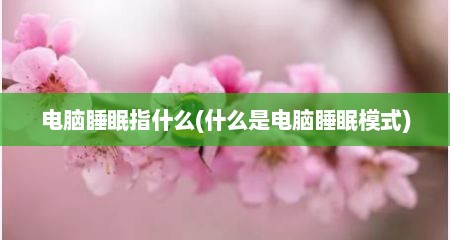 电脑睡眠指什么(什么是电脑睡眠模式)