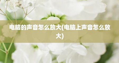 电脑的声音怎么放大(电脑上声音怎么放大)