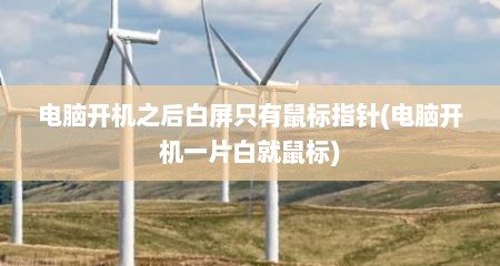 电脑开机之后白屏只有鼠标指针(电脑开机一片白就鼠标)