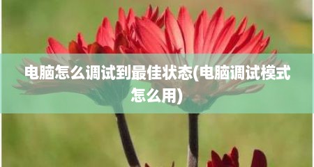 电脑怎么调试到最佳状态(电脑调试模式怎么用)