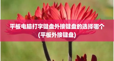 平板电脑打字键盘外接键盘的选择哪个(平板外接键盘)