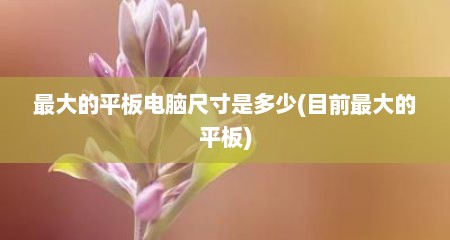 最大的平板电脑尺寸是多少(目前最大的平板)