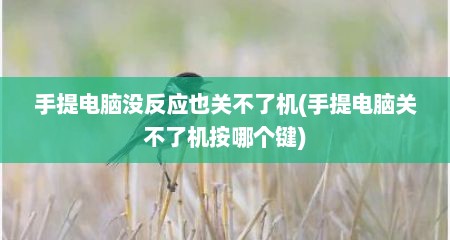 手提电脑没反应也关不了机(手提电脑关不了机按哪个键)