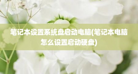 笔记本设置系统盘启动电脑(笔记本电脑怎么设置启动硬盘)