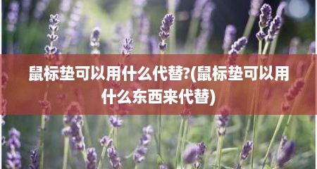 鼠标垫可以用什么代替?(鼠标垫可以用什么东西来代替)