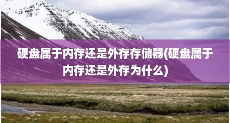 硬盘属于内存还是外存存储器(硬盘属于内存还是外存为什么)