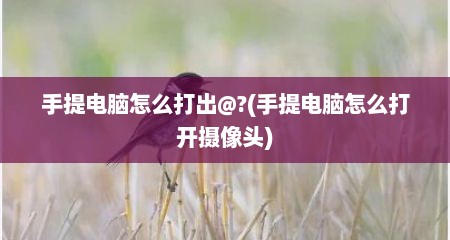 手提电脑怎么打出@?(手提电脑怎么打开摄像头)