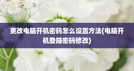 更改电脑开机密码怎么设置方法(电脑开机登陆密码修改)