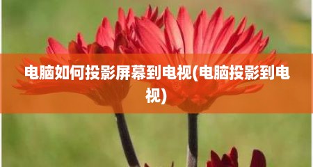 电脑如何投影屏幕到电视(电脑投影到电视)