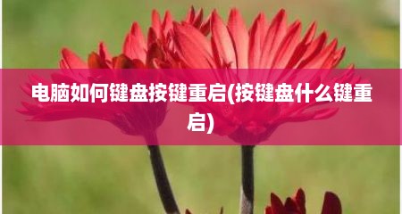 电脑如何键盘按键重启(按键盘什么键重启)