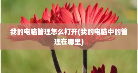 我的电脑管理怎么打开(我的电脑中的管理在哪里)