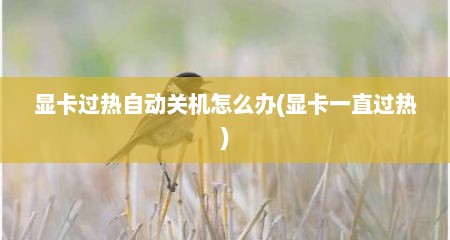 显卡过热自动关机怎么办(显卡一直过热)