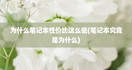 为什么笔记本性价比这么低(笔记本究竟是为什么)