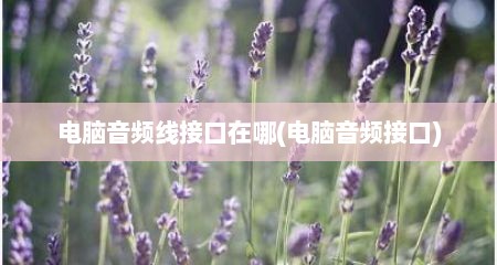 电脑音频线接口在哪(电脑音频接口)