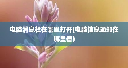 电脑消息栏在哪里打开(电脑信息通知在哪里看)