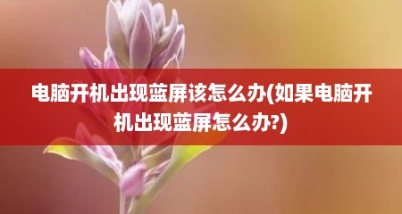 电脑开机出现蓝屏该怎么办(如果电脑开机出现蓝屏怎么办?)