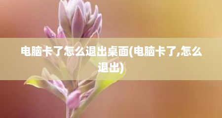 电脑卡了怎么退出桌面(电脑卡了,怎么退出)