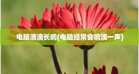 电脑滴滴长响(电脑经常会响滴一声)