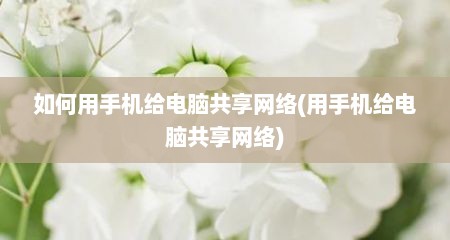 如何用手机给电脑共享网络(用手机给电脑共享网络)