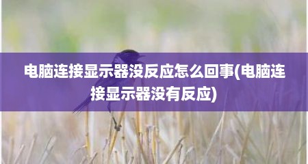 电脑连接显示器没反应怎么回事(电脑连接显示器没有反应)