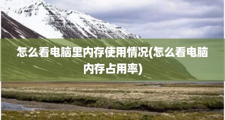 怎么看电脑里内存使用情况(怎么看电脑内存占用率)