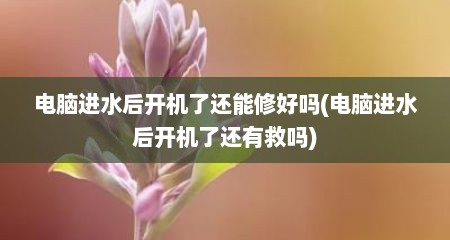 电脑进水后开机了还能修好吗(电脑进水后开机了还有救吗)