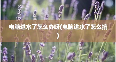 电脑进水了怎么办呀(电脑进水了怎么搞)