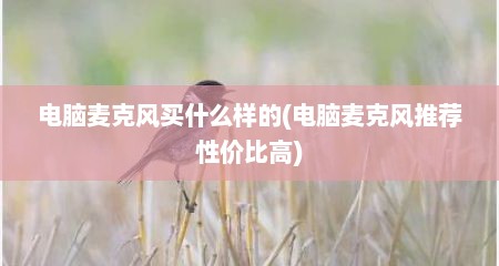 电脑麦克风买什么样的(电脑麦克风推荐性价比高)