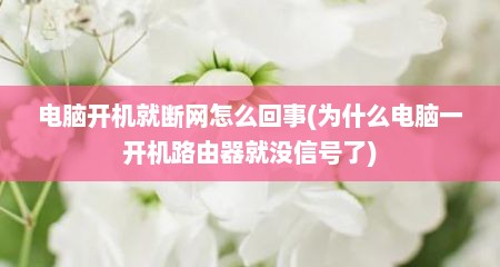 电脑开机就断网怎么回事(为什么电脑一开机路由器就没信号了)