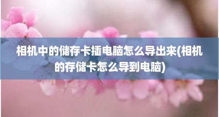 相机中的储存卡插电脑怎么导出来(相机的存储卡怎么导到电脑)