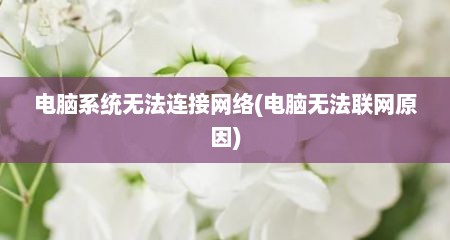 电脑系统无法连接网络(电脑无法联网原因)