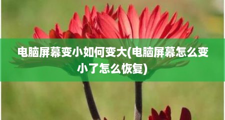 电脑屏幕变小如何变大(电脑屏幕怎么变小了怎么恢复)