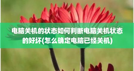 电脑关机的状态如何判断电脑关机状态的好坏(怎么确定电脑已经关机)