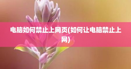 电脑如何禁止上网页(如何让电脑禁止上网)
