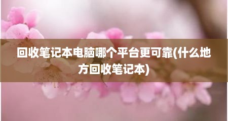 回收笔记本电脑哪个平台更可靠(什么地方回收笔记本)