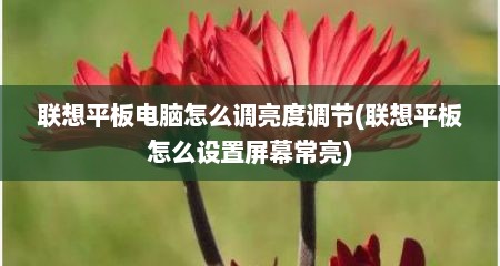 联想平板电脑怎么调亮度调节(联想平板怎么设置屏幕常亮)