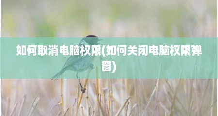 如何取消电脑权限(如何关闭电脑权限弹窗)