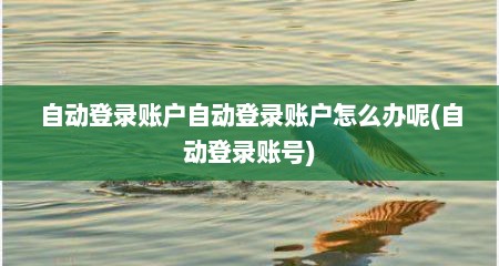 自动登录账户自动登录账户怎么办呢(自动登录账号)