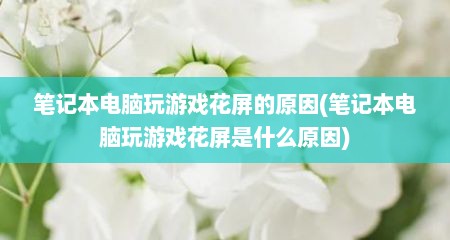 笔记本电脑玩游戏花屏的原因(笔记本电脑玩游戏花屏是什么原因)
