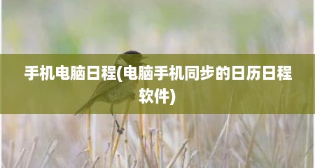 手机电脑日程(电脑手机同步的日历日程软件)