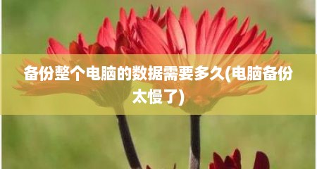 备份整个电脑的数据需要多久(电脑备份太慢了)