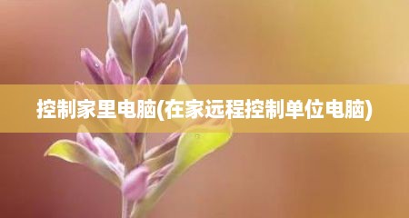 控制家里电脑(在家远程控制单位电脑)