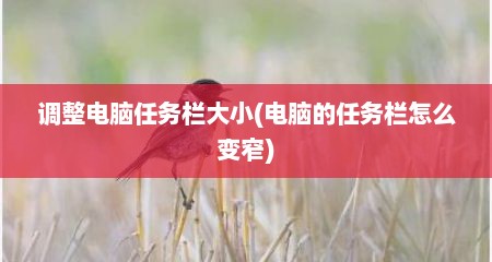 调整电脑任务栏大小(电脑的任务栏怎么变窄)