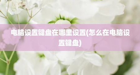 电脑设置键盘在哪里设置(怎么在电脑设置键盘)