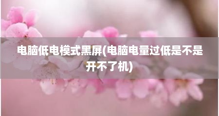 电脑低电模式黑屏(电脑电量过低是不是开不了机)
