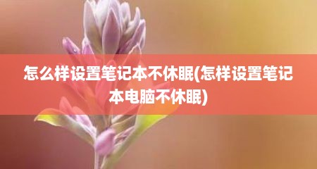 怎么样设置笔记本不休眠(怎样设置笔记本电脑不休眠)