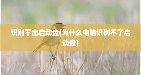识别不出启动盘(为什么电脑识别不了启动盘)